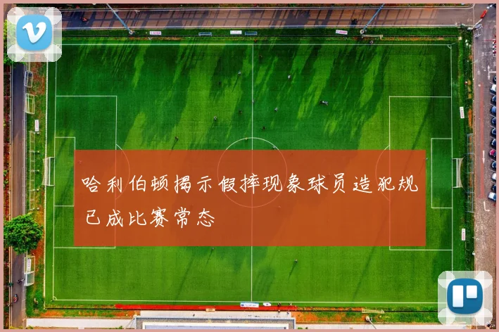 哈利伯顿揭示假摔现象球员造犯规已成比赛常态