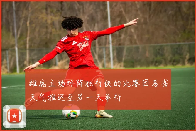 雄鹿主场对阵独行侠的比赛因恶劣天气推迟至另一天举行